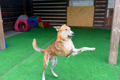 PHOTO-2026-03-30-15-48-29-2