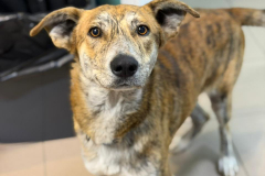 PHOTO-2026-03-30-15-48-29-3