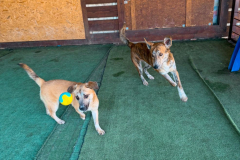 PHOTO-2026-03-30-15-48-29-4