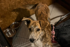 PHOTO-2026-03-30-15-48-29