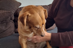 PHOTO-2026-03-06-20-13-33