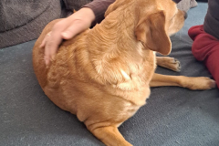 PHOTO-2026-03-06-20-13-40