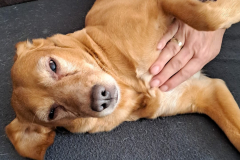 PHOTO-2026-03-06-20-13-48