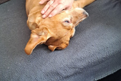 PHOTO-2026-03-06-20-14-52