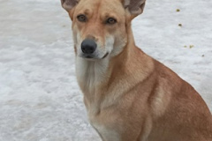 PHOTO-2026-03-27-22-13-28