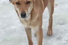 PHOTO-2026-03-27-22-13-46