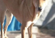 PHOTO-2026-03-27-22-14-09