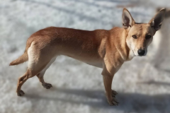 PHOTO-2026-03-27-22-14-37