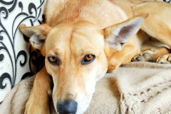 PHOTO-2026-04-02-14-31-06