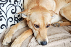 PHOTO-2026-04-02-14-31-42