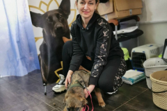 6e6a8ba3-6dc8-42eb-a74d-3655264233b4