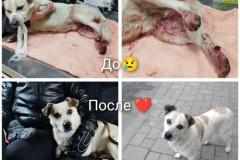 PHOTO-2025-12-02-09-59-38