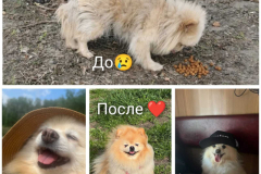 PHOTO-2025-12-02-09-59-46