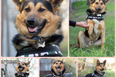 PHOTO-2025-11-19-17-03-05