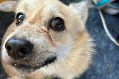 PHOTO-2025-12-01-11-41-58