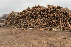 Bild_4-holzstapel