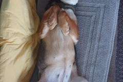 PHOTO-2026-02-20-09-39-29