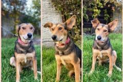 PHOTO-2025-12-29-00-14-57