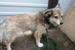 PHOTO-2025-11-18-11-44-23